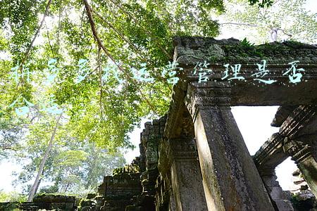 拼多多代运营哪家好(拼多多哪家代运营公司比较好)