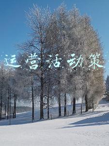 全年运营活动策划表