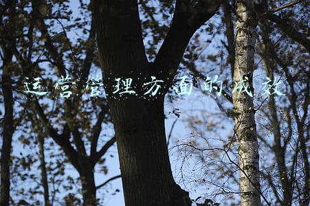 工作成效方面的问题(宁夏中卫：工程建设政府采购等重点领域突出问题专项治理工作取得阶段性成效)