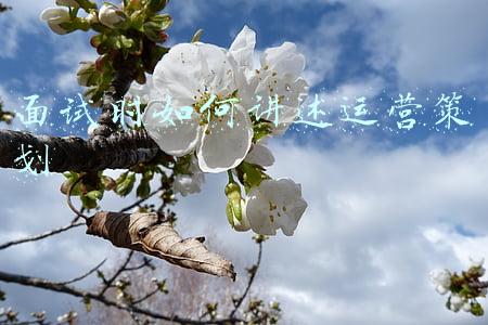 面试时自我介绍怎么说(面试时，自我介绍这样说：应聘成功率增加50%)