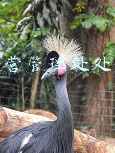 运营管理处处长