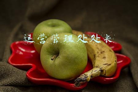 运营管理处处长