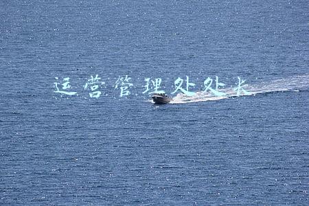 运营管理处处长