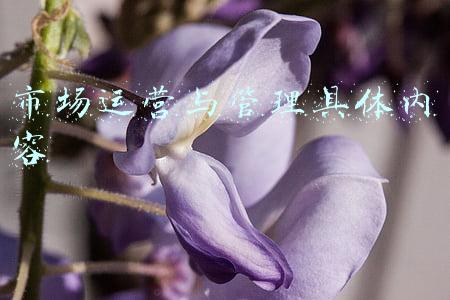 市场理念不浓具体表现(知料 | 从积木玩具到光伏，“中国版乐高”的资本变形记)