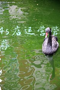 汽车4s店运营管理书籍推荐