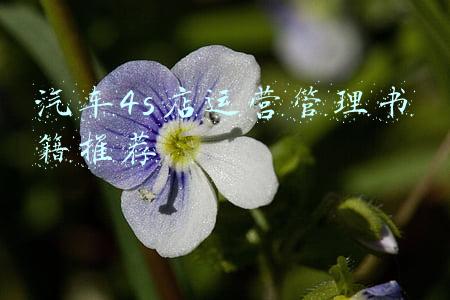 汽车4s店抖音运营方案(巨量引擎发布汽车本地通，联动用户生活场，激发4S店增长新可能)
