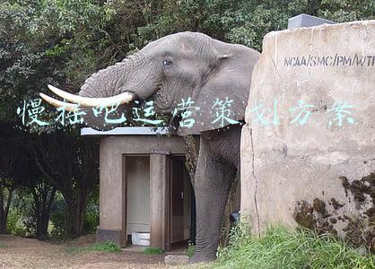 慢摇吧运营策划方案