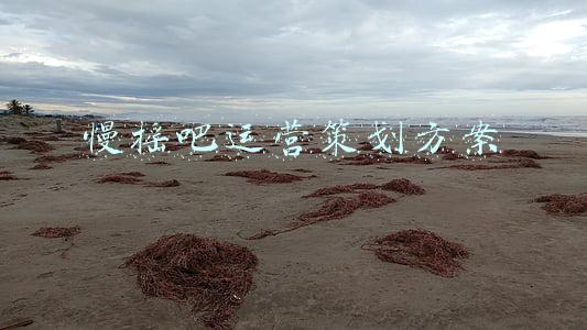 慢摇视频动态背景(天梯、星空和陪伴，这个万达广场制造了 一场200多万人参与的精神“慢摇”)