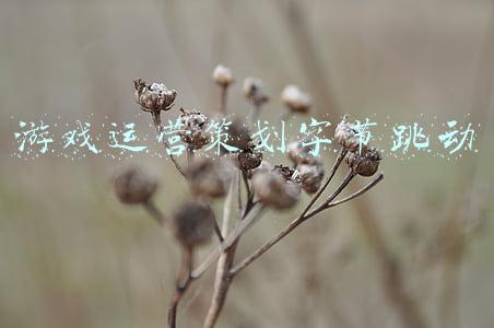 游戏运营策划字节跳动