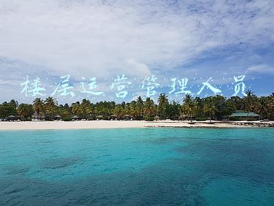 楼宇管理员是做什么的(加强“协同服务”打造“智慧大脑” 西湖区楼宇服务管理2.0版来了)