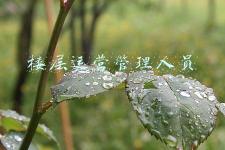 楼层运营管理人员