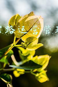 高速公路运营管理的作用
