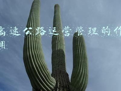 高速公路的作用和意义(我们为什么建设电力高速公路)