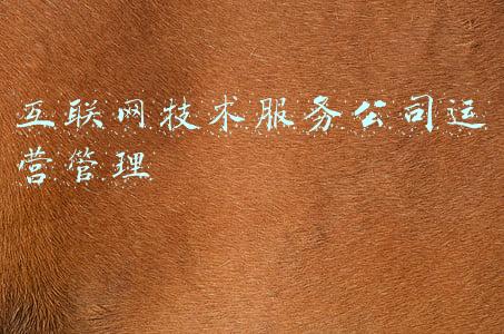 互联网技术服务公司运营管理