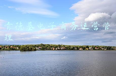 肯德基电子商务运营管理