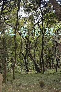 美团饿了么代运营(美团代运营要多少钱_美团代运营收费标准)