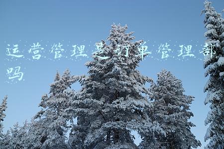 运营管理是订单管理部吗