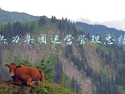 热力集团运营管理总结