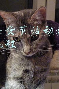 策划年货节活动数据化运营流程