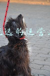 顺丰优选商城(6年换了7个CEO，如今大规模关店，顺丰优选到底怎么了？)