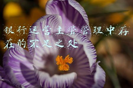 银行运营主管管理中存在的不足之处
