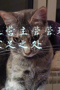 银行运营主管管理中存在的不足之处