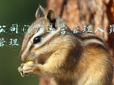 公司门店运营管理人员管理