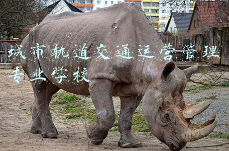 城市轨道交通运营管理专业学校