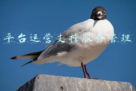 平台运营支撑服务管理