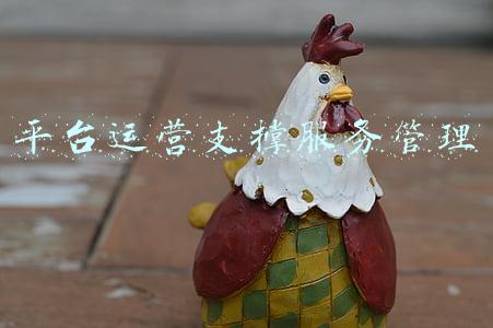 平台运营支撑服务管理
