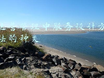 服务运作管理具有哪些特征(发展新业态 上海浦东拓展海关监管制度创新成果)