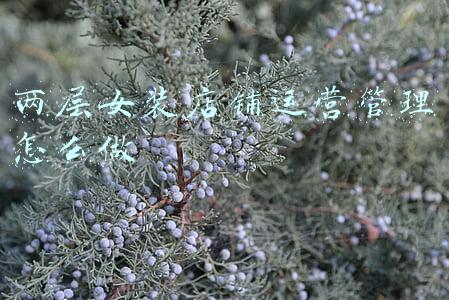 两层女装店铺运营管理怎么做