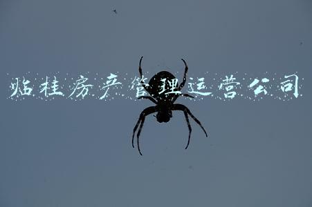 临桂房产网(可以洋房，何必高层！临桂买房一定看过这里再决定)