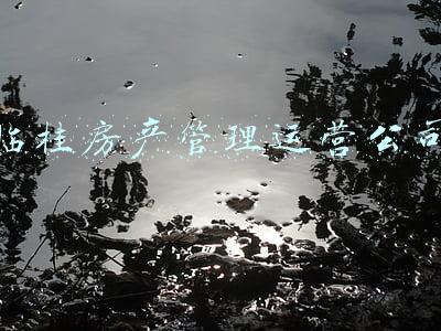 临桂房产(桂林临桂区迈入“5000+”，最贵的小区均价超过1万/平)