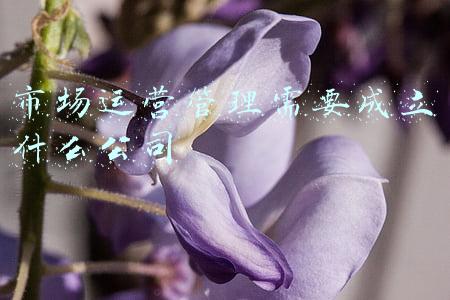 市场运营管理公司的经营范围(筛选几个概念的潜力方向)