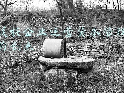 浅析企业绩效管理论文(联想集团的特色绩效管理)