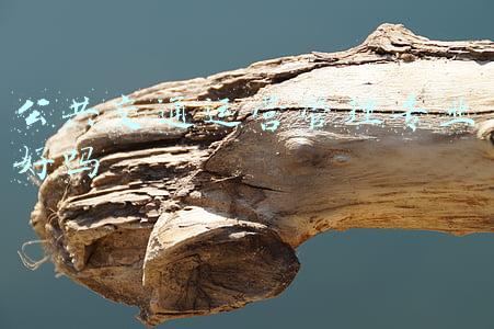 公共交通运营管理专业好吗