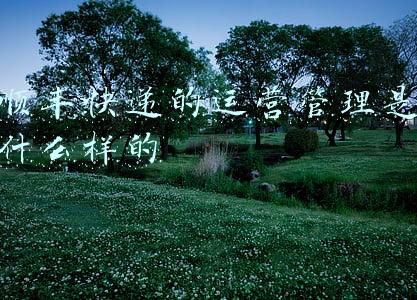 顺丰快递的运营管理是什么样的