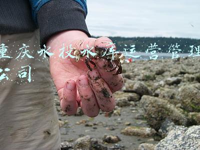 重庆水投水库运营管理公司