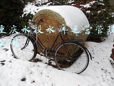 重庆水投水库运营管理公司
