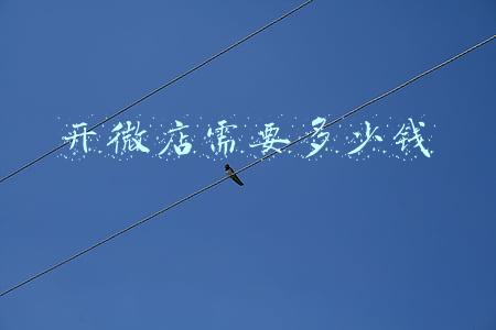 微信商城开通多少钱，开个微信商城需要多少钱