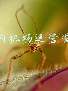 辽宁省内机场(辽宁省七大飞机场一览)