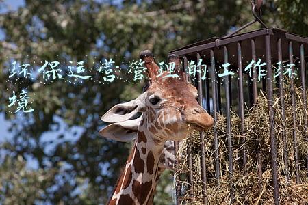 环保运营管理的工作环境