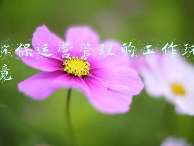 环境管理工作有哪些(企业环境检测管理工作内容)