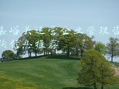 嘉峪关运营企业管理咨询信息推荐