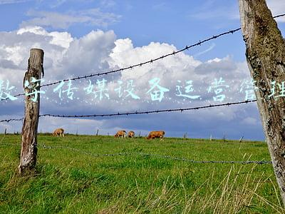 数字传媒研究(传媒蓝皮书：传媒产业逐步形成以数字为基础的传媒新生态系统)