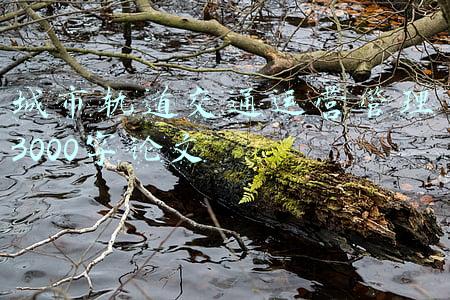 城市轨道交通运营管理3000字论文