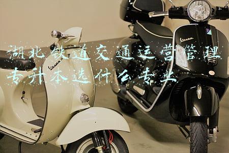 城市轨道交通运营管理可以专升本哪个专业(四川一高校迎来“新机遇”，直接升级为本科，艺术生有福了)