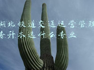 湖北铁道交通运营管理专升本选什么专业