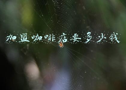 开一家小的咖啡店需要多少钱：开一个咖啡店要多少钱